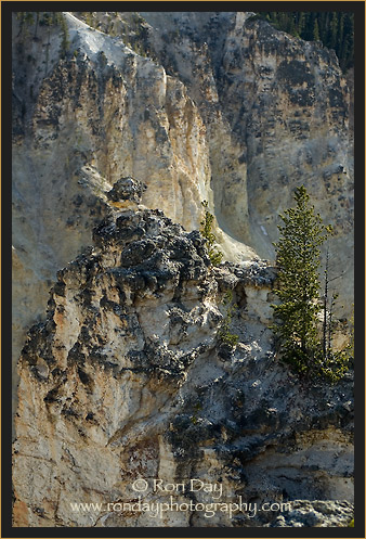 Grand Canyon, Yellowstone NP