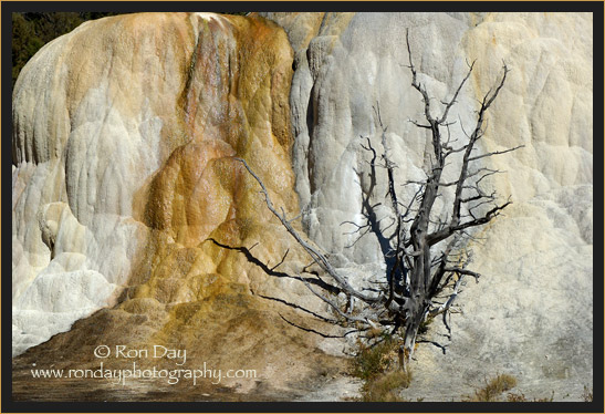 Orange Mound, Mammoth Hot Springs, Yellowstone