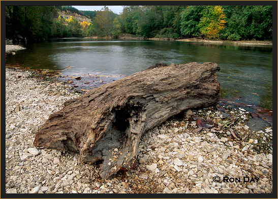 Driftwood near Peyton's Place on Illinois River