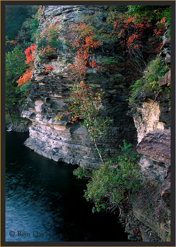 Pine Cove, Lake Tenkiller