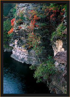 Pine Cove Bluff in Autumn at Lake Tenkiller