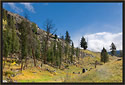 Slough Creek area, Yellowstone