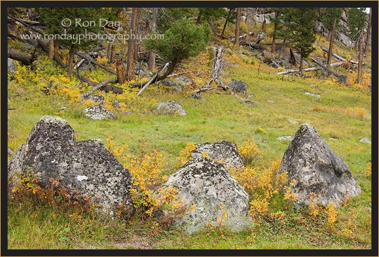 Autumn Foliage & Boulders