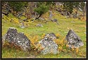 Slough Creek Boulders