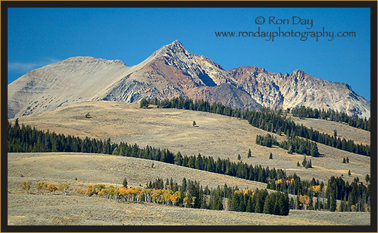 Landscape south of Mammoth Springs