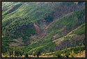 Green Mountain Landscape