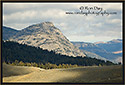 Yellowstone Landscape